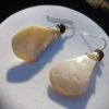 Shell Earrings (Medium)