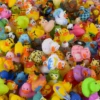 Mini Rubber Duckies -FUNKO || Ooly || Enesco Shop Screenshot 2020 04 052RUBBERDUCKYASSORTMENT1000PCSCASE